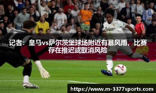 3377体育官网